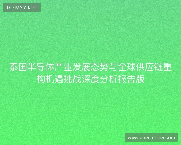 泰国半导体产业发展态势与全球供应链重构机遇挑战深度分析报告版 泰国半导体产业发展态势与全球供应链重构机遇挑战深度分析报告版